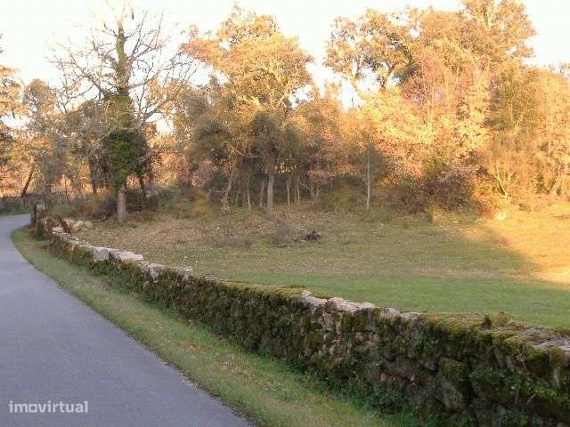 Quinta em Chaves Terreno 50 Ha (500 mil M2) Construção 1.593 m2-23