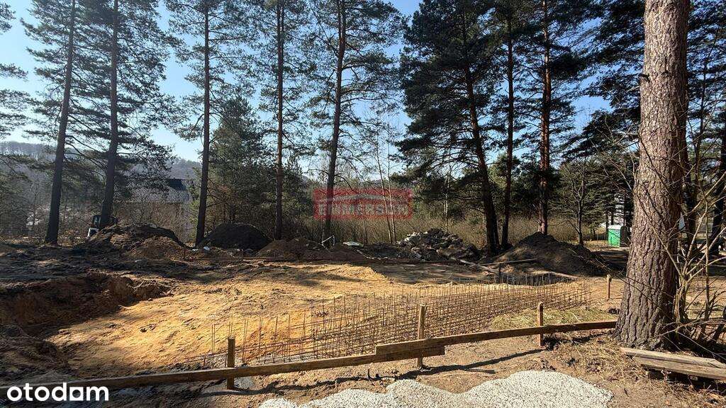 Dom/10 arów/las - Pełny obrazek: 4/6