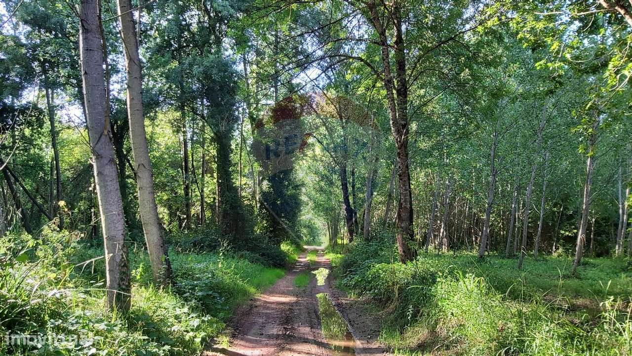 Terreno  para venda - Grande imagem: 3/11