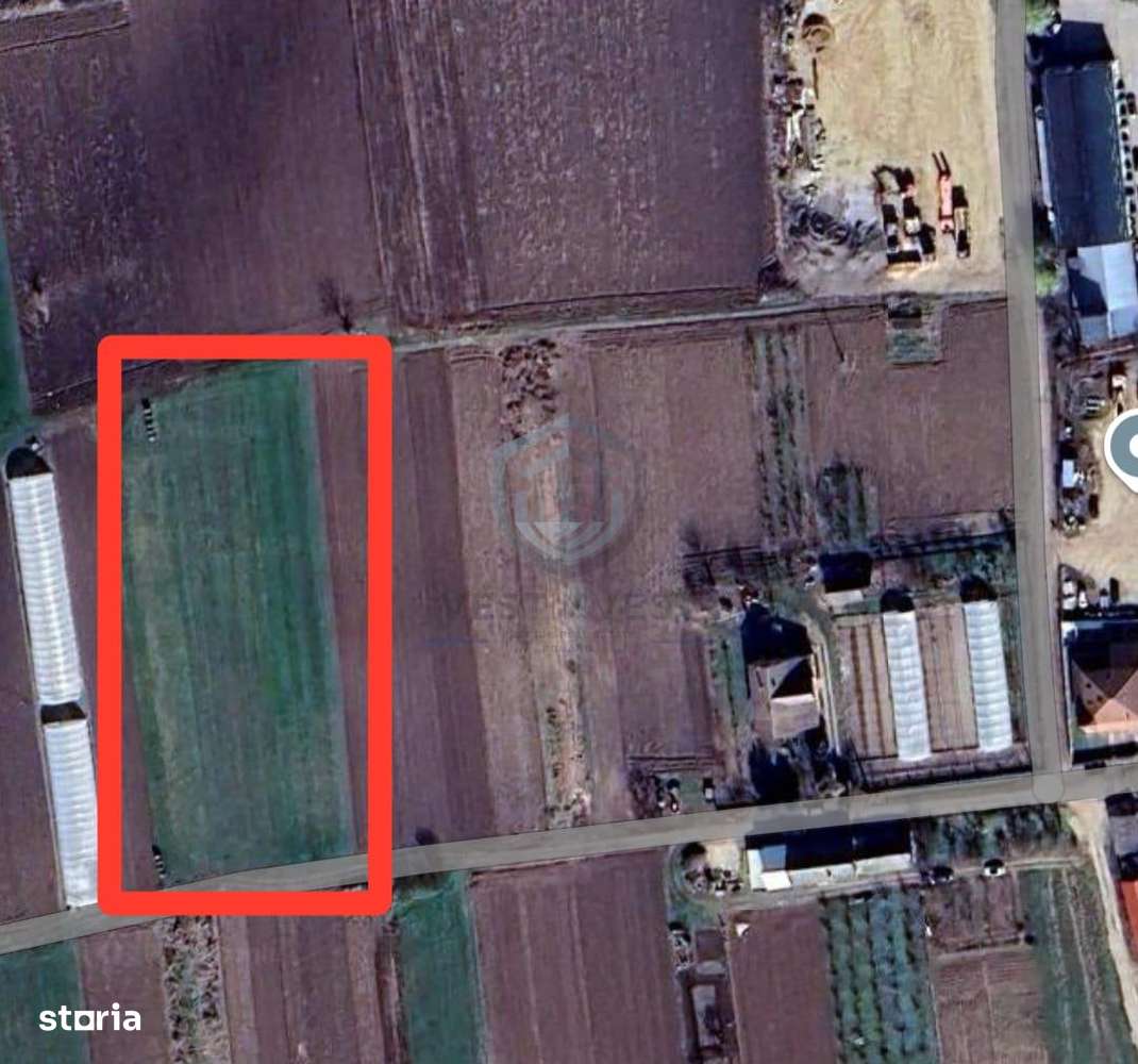 Teren intravilan in Bors - Imagine principală: 2/2