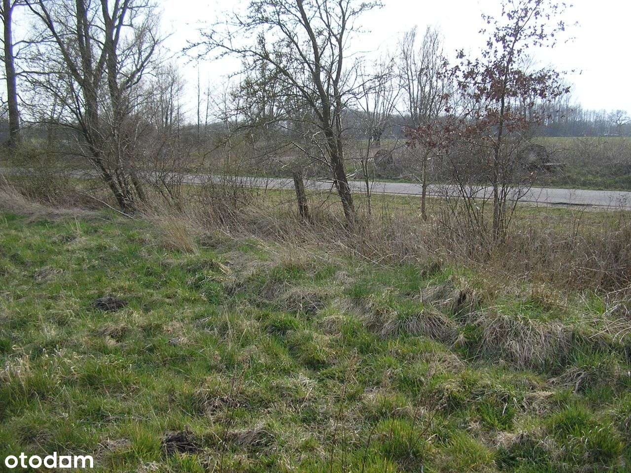 Budowlana, przy drodze asfaltowej, 16 km od morza - Pełny obrazek: 4/8