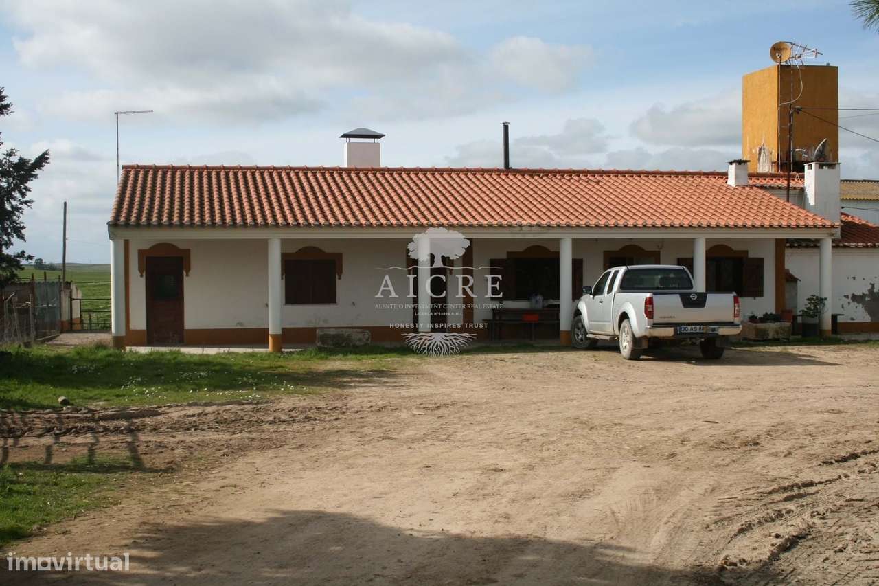 Herdade e Coudelaria Puro Sangue Lusitano - Grande imagem: 5/13