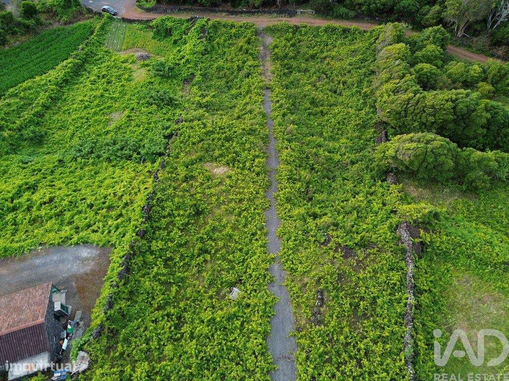 Terreno em Santa Luzia de 2914,00 m2 - Grande imagem: 3/15