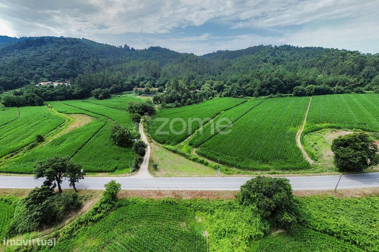 Terreno c/1.184m2 em Encourados, Barcelos! - Grande imagem: 4/16