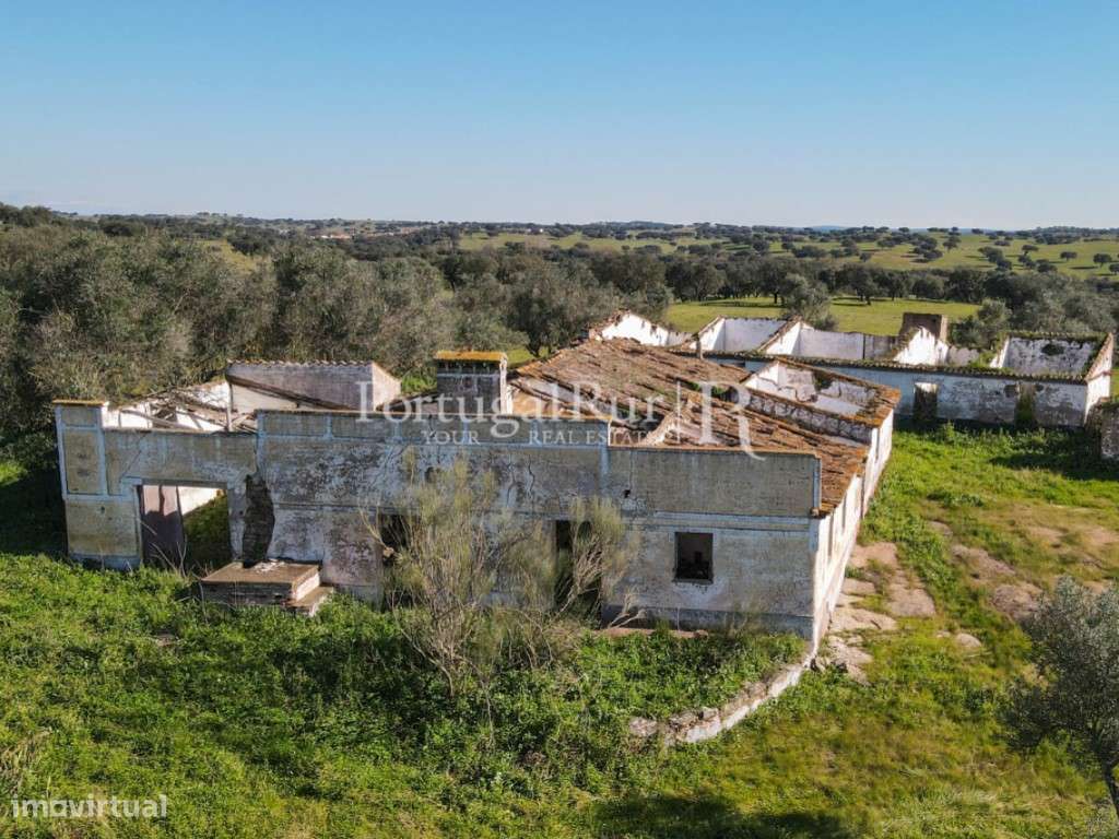 Herdade de 18 hectares perto de Estremoz - Grande imagem: 5/34