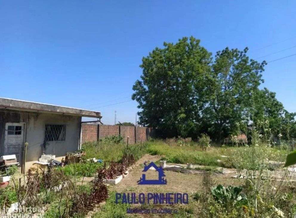 Moradia T6 Santa Maria da Feira - Grande imagem: 4/38