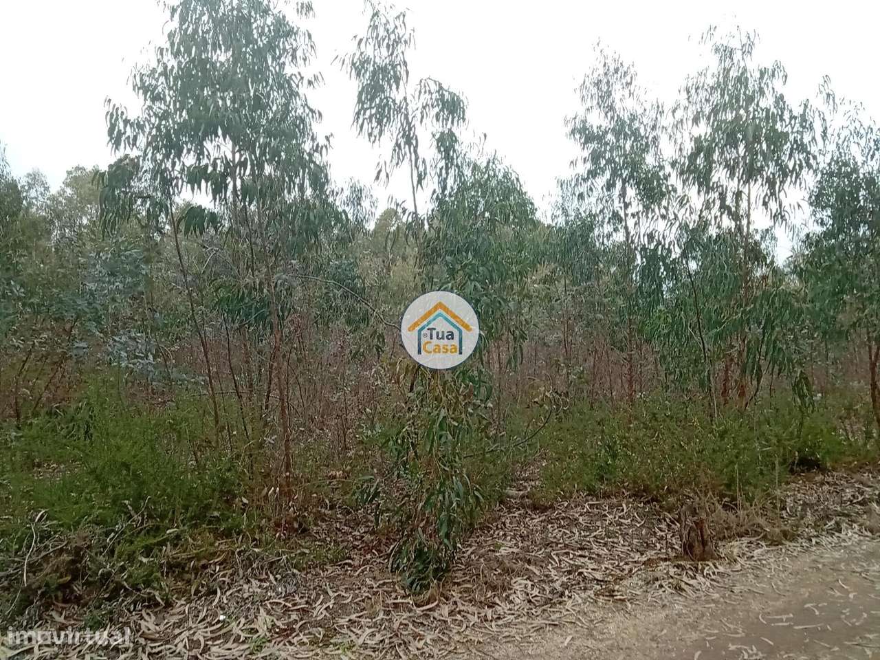 Terreno rústico com viabilidade de construção em Águeda - Grande imagem: 2/16