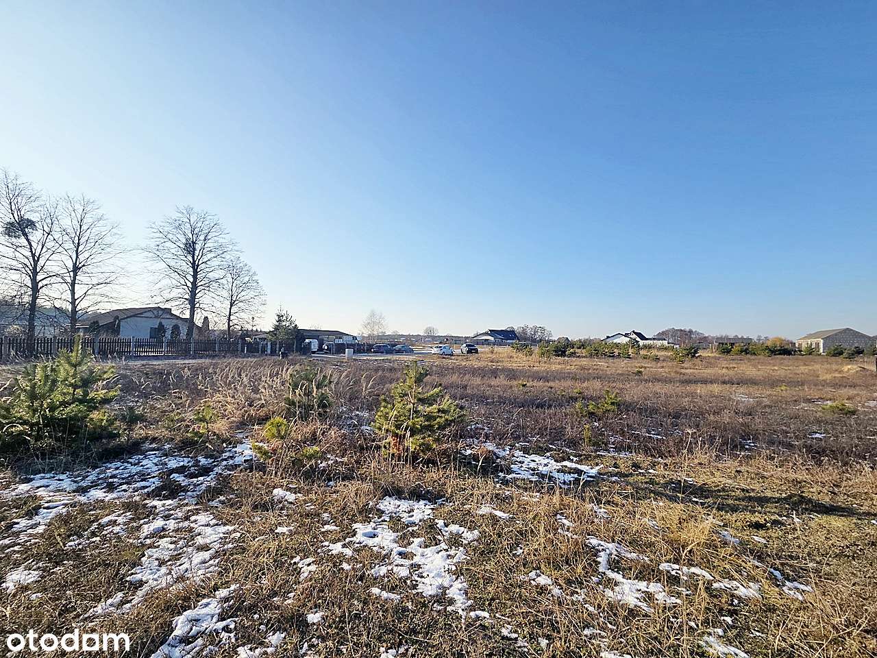 Na nowopowstałym osiedlu w sąsiedztwie lasu-8