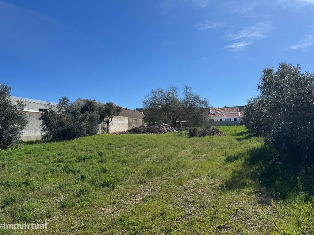 Moradia terrea T4 com 330m2 de área e lote de 3.265m2 em Azeitão-8