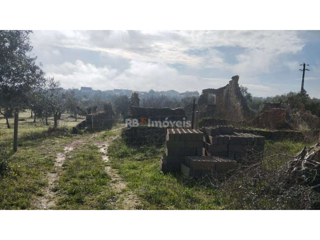 Terreno misto com 3080 m2, em Delongo - Grande imagem: 3/14