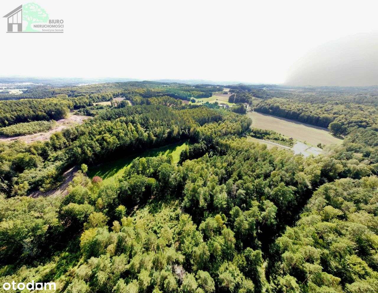 Duża działka siedliskowa 4600 m2 Strzebielino Wyb.-16