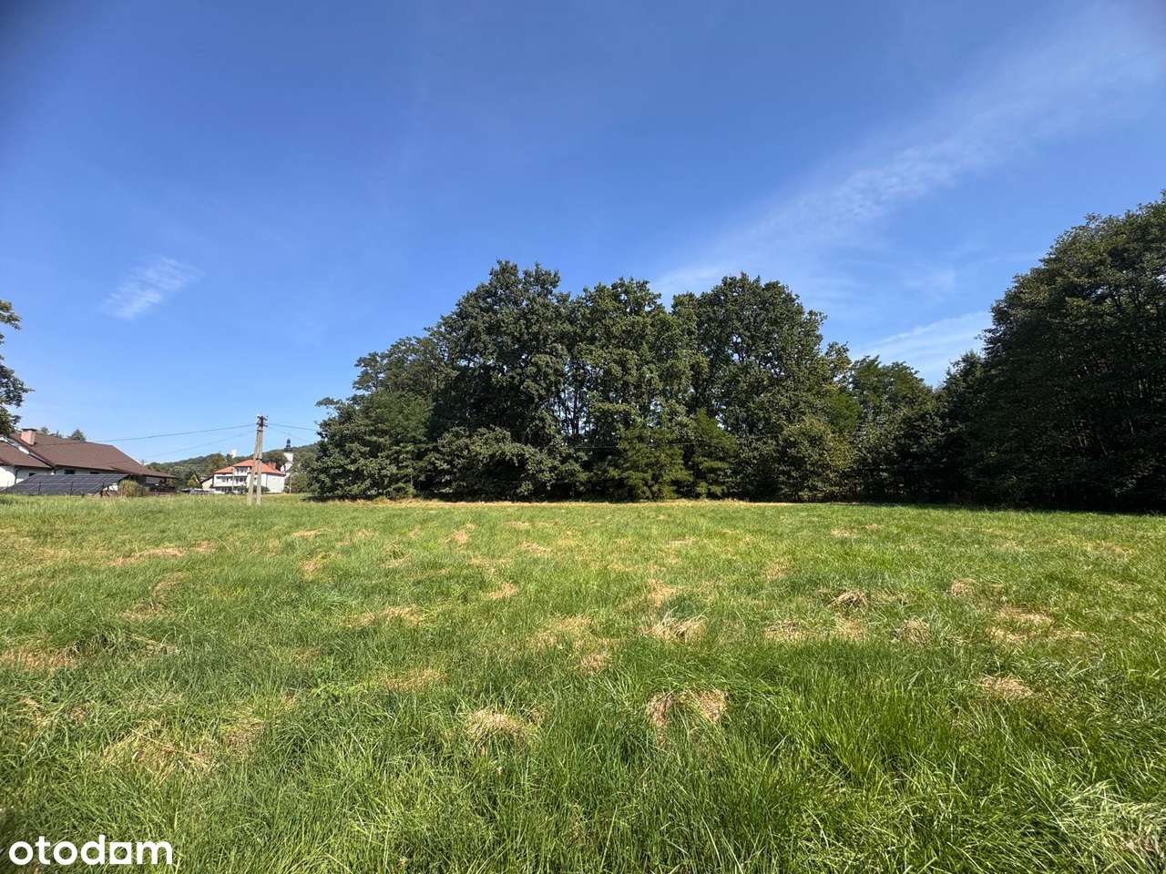 Działka budowlana pod lasem Babice-2