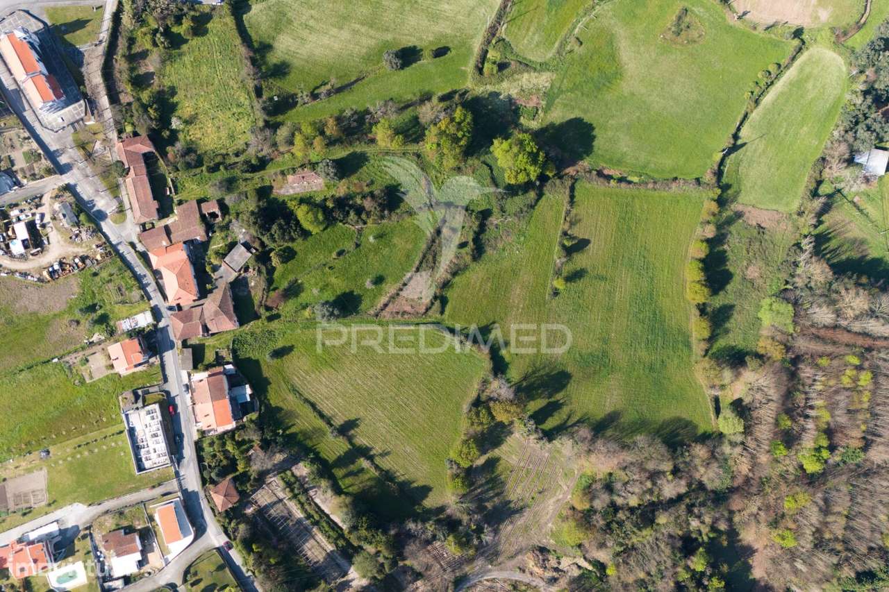 Quinta Rústica com 6 Hectares de Terreno em Moure, Póvoa de Lanhoso - Grande imagem: 3/15