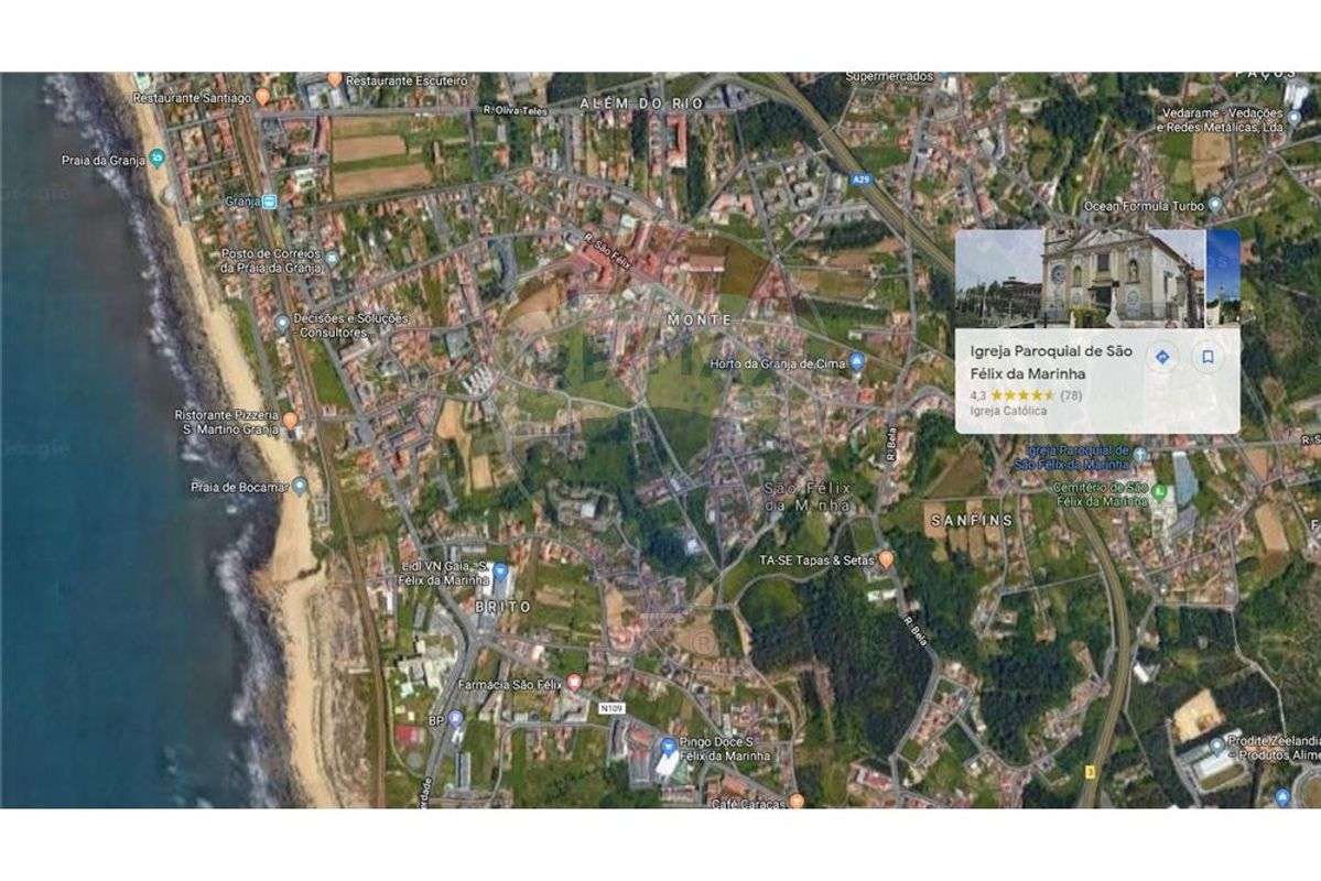 Terreno c/ pinheiros. Possibilidade de lotear hab - Grande imagem: 5/10