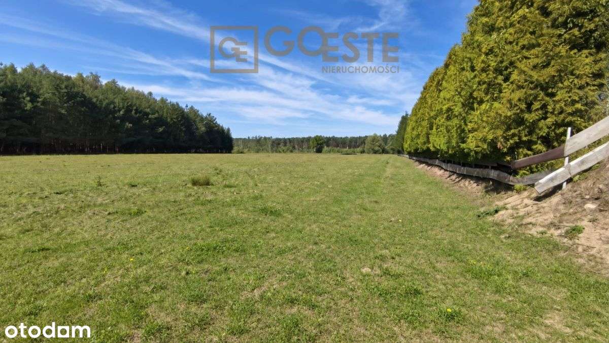Działka budowlana 4900 m2, 20 minut od Warszawy-2