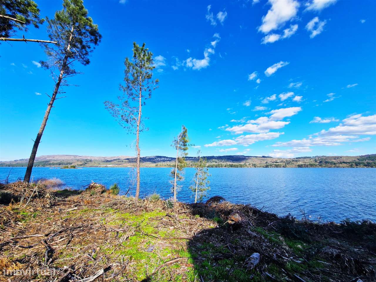 Quinta T5 Venda em Faia,Sernancelhe - Grande imagem: 3/45