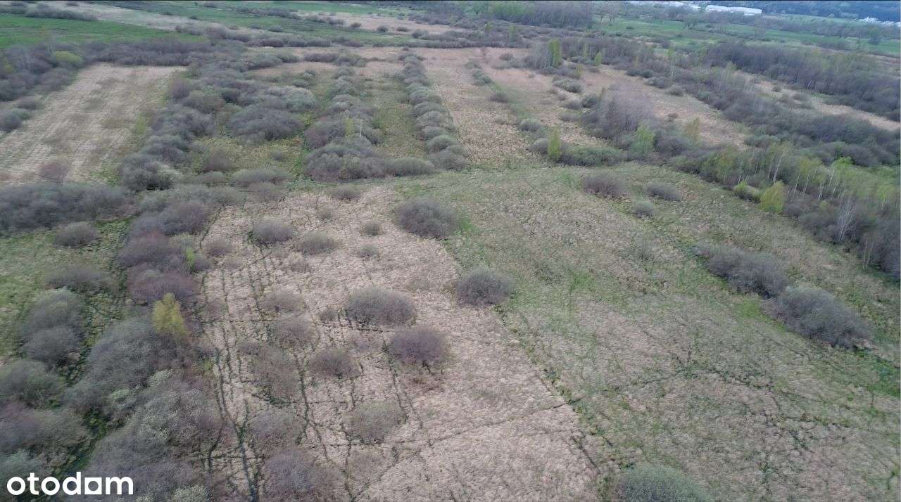 Działka na terenie Ekomariny - Mosty - Pełny obrazek: 5/9