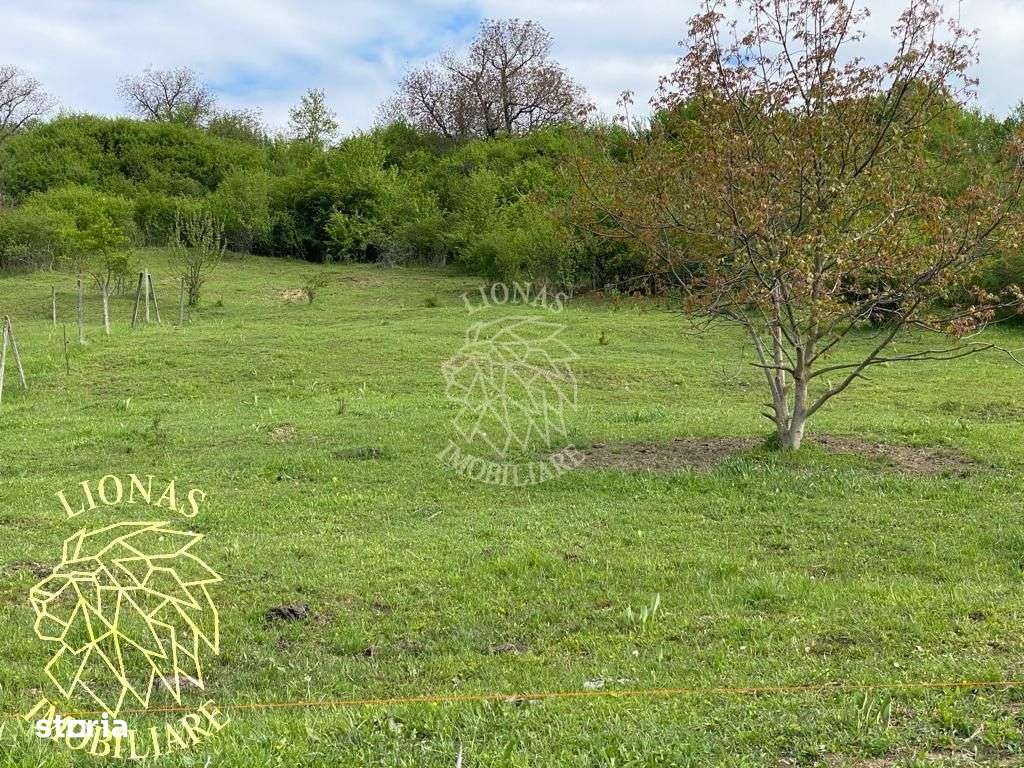 Teren Extravilan - Ghinda - 3.5000mp-Parcelabil - Imagine principală: 5/7