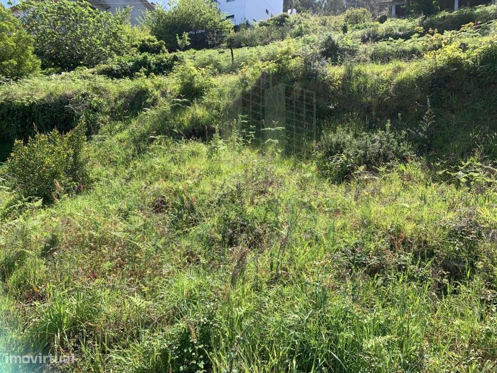 Terreno com vista para o Rio Minho - Grande imagem: 5/8