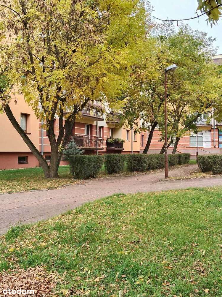 Mieszkanie, ul. Energetyków, Bełchatów-12