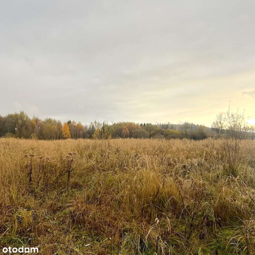 Działka w rejonie górskim blisko Śnieżnika - Pełny obrazek: 1/10