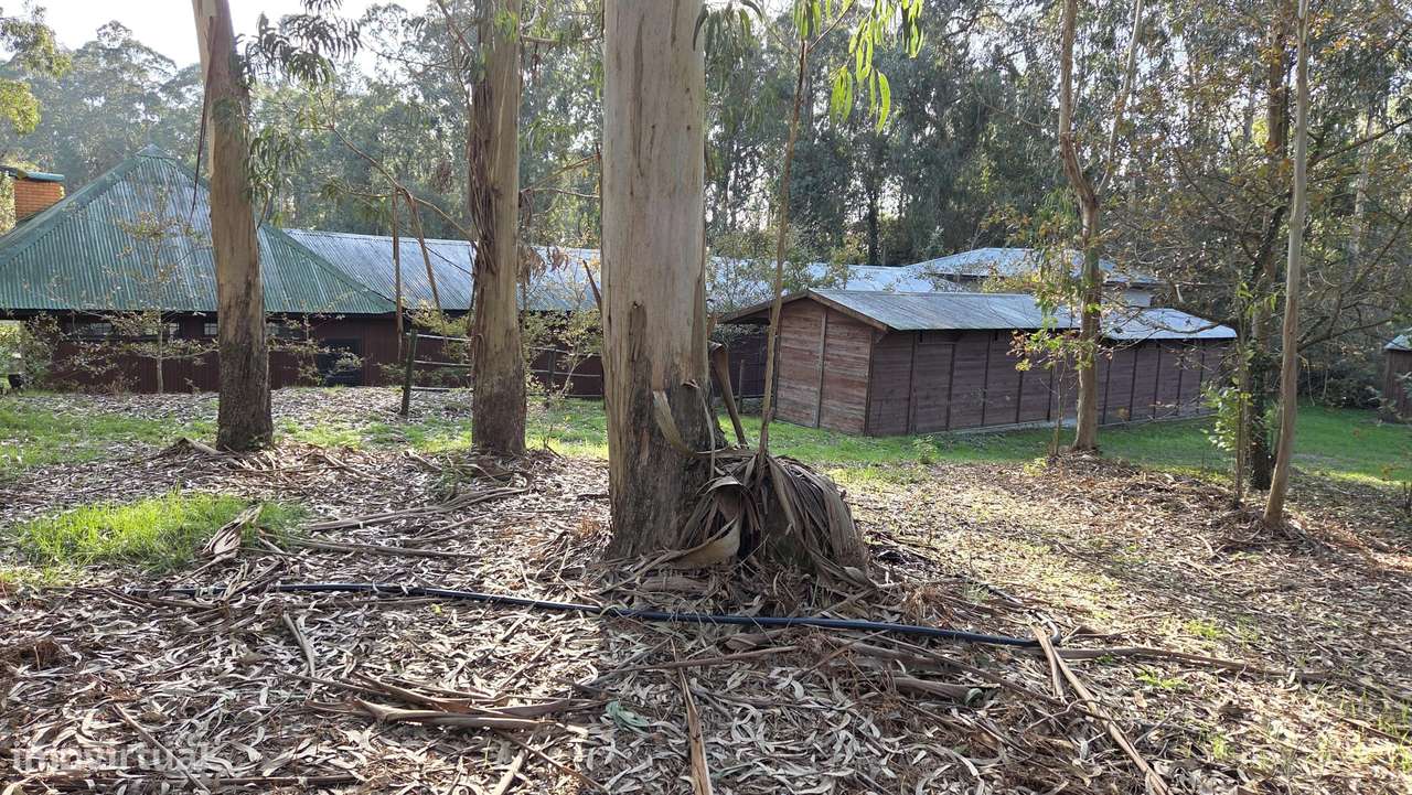 Quinta Equestre & Boutique Retreat-43