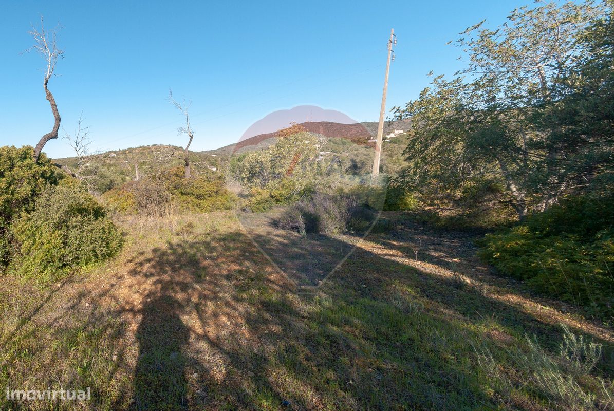 Terreno  para venda