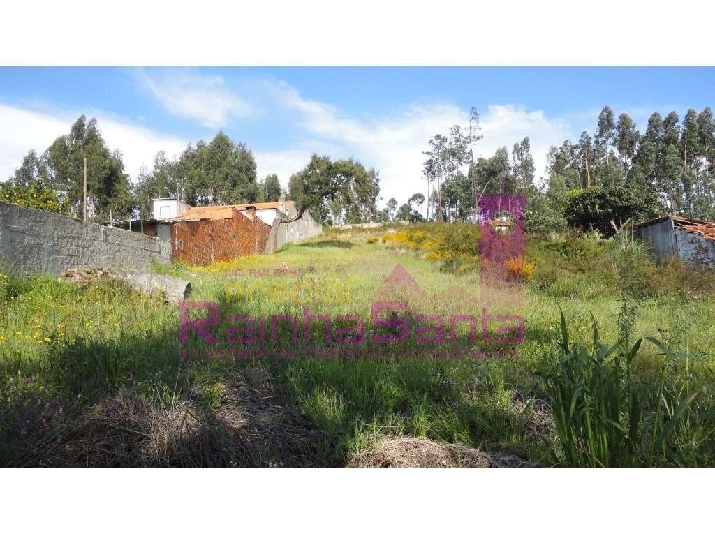 Terreno c/ viabilidade de construção - Coimbra - Grande imagem: 2/6