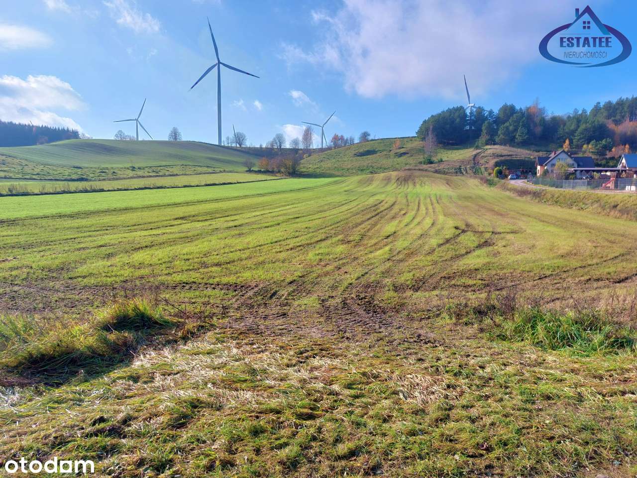 Działka na sprzedaż – Biała Woda, gm. Suwałki (0.3001 ha)-1