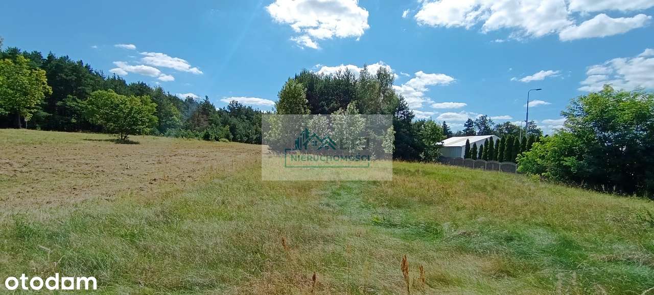 Na sprzedaż dom parterowy z zabudowaniami gospodarczymi gmina Kiełczyg - Pełny obrazek: 4/5