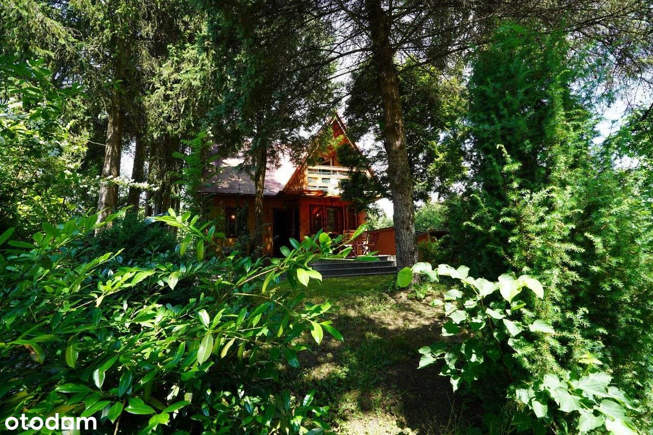 Krasiczyn, dom rekreacyjny nad Sanem - Pełny obrazek: 5/20