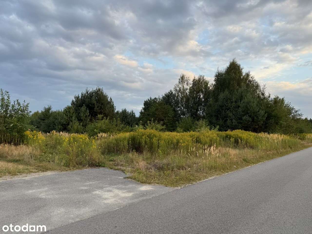 Działka budowlana 1800 m² w Świecy, wydane warunki zabudowy - Pełny obrazek: 4/5