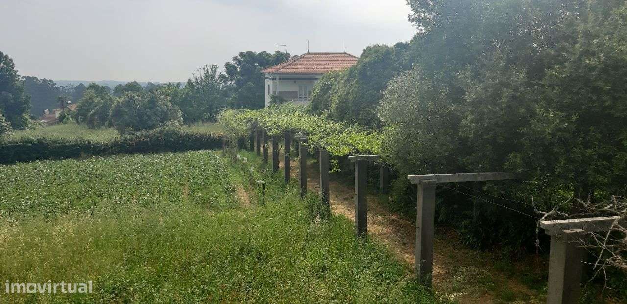 - Quinta c/casa 2 pisos , piscina e C/ terreno p/ novas construçõe-11