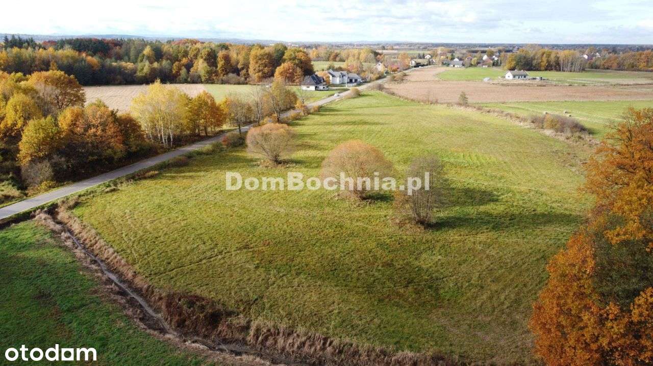 38ar budowlana przy drodze Borek Rzezawa-1