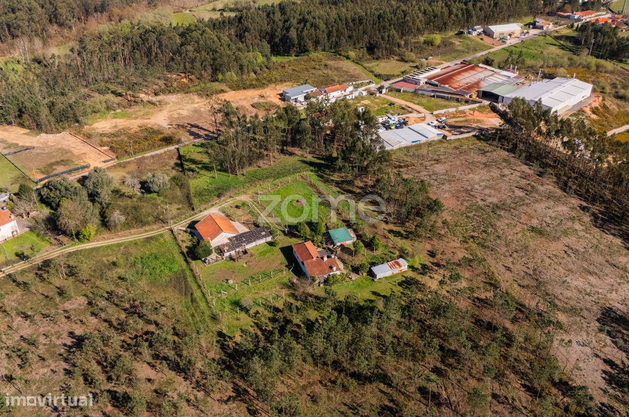 Terreno com 4380m2 a 10 minutos do centro de Braga - Grande imagem: 5/8