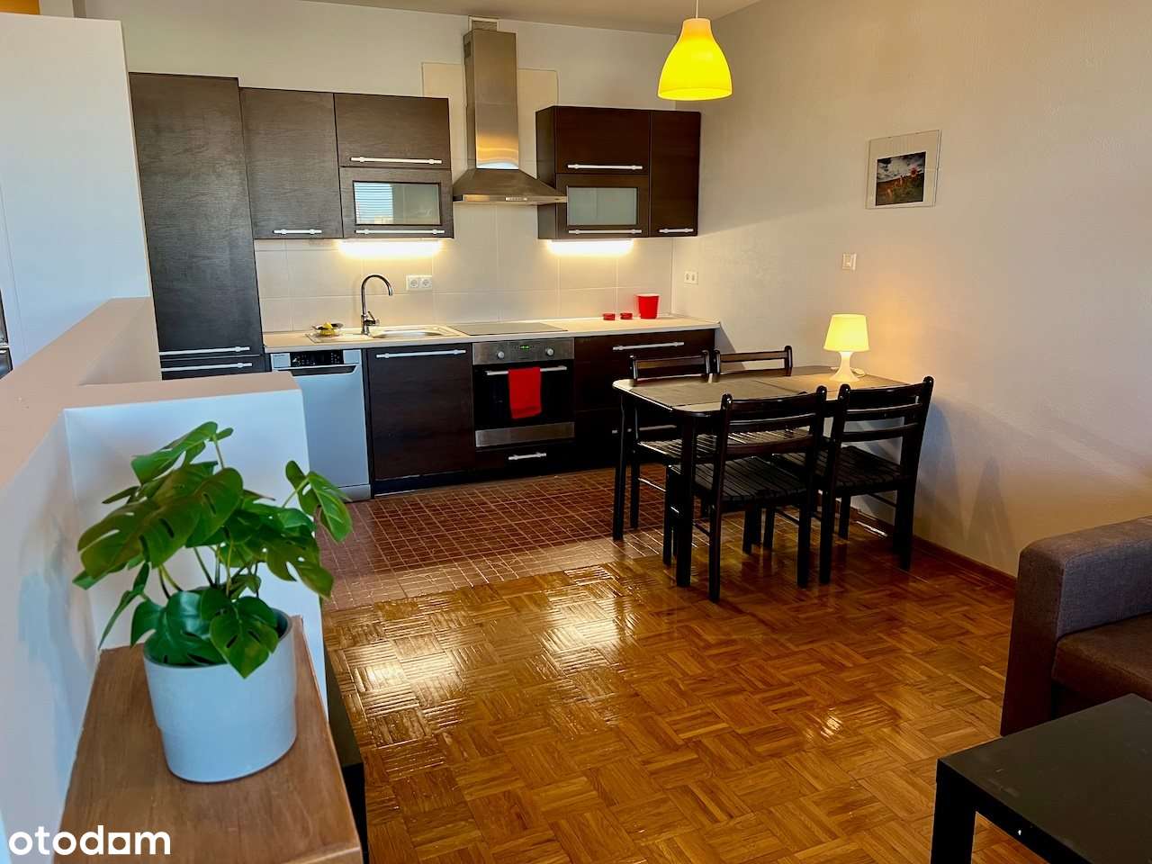 Sienkiewicza-wygodna kawalerka z dużym balkonem - Pełny obrazek: 1/20