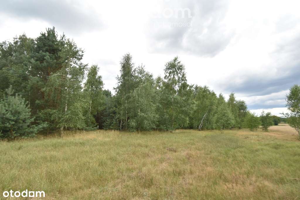 Działki rolne na sprzedaż. - Pełny obrazek: 4/6