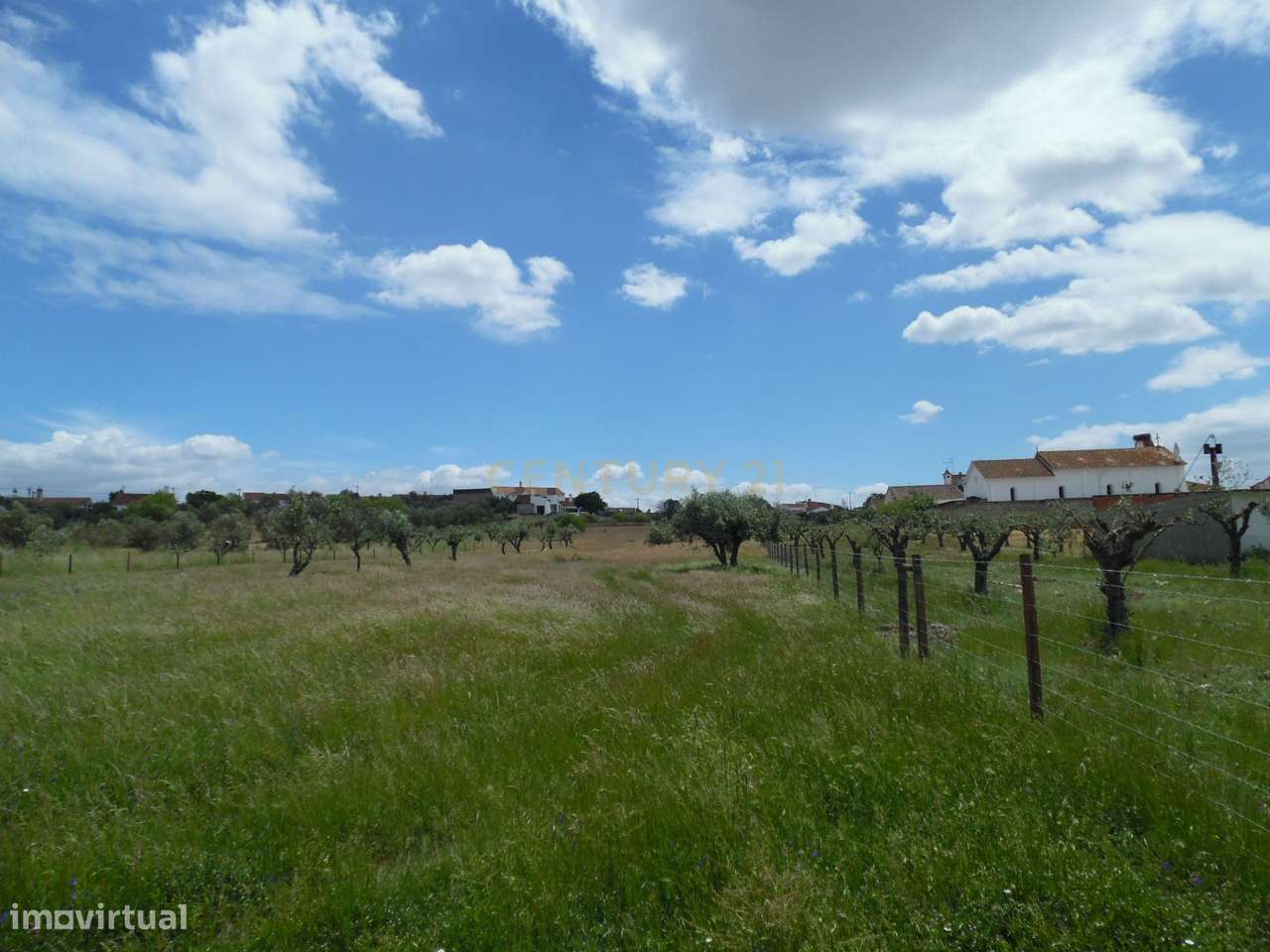 Quinta em Capelins,  Alandroal - Évora,  Oportunidade Única-46