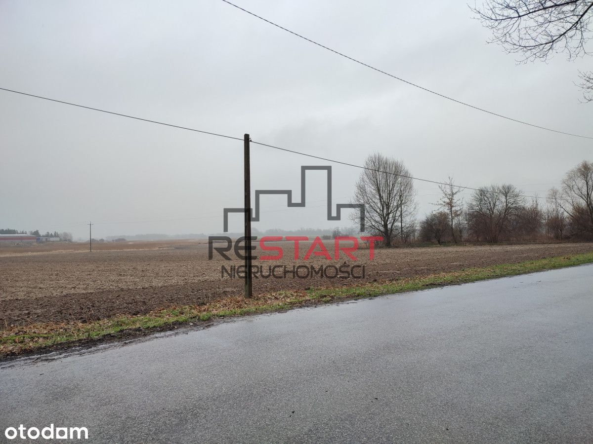 Duży teren Mu , doskonałe wymiary !