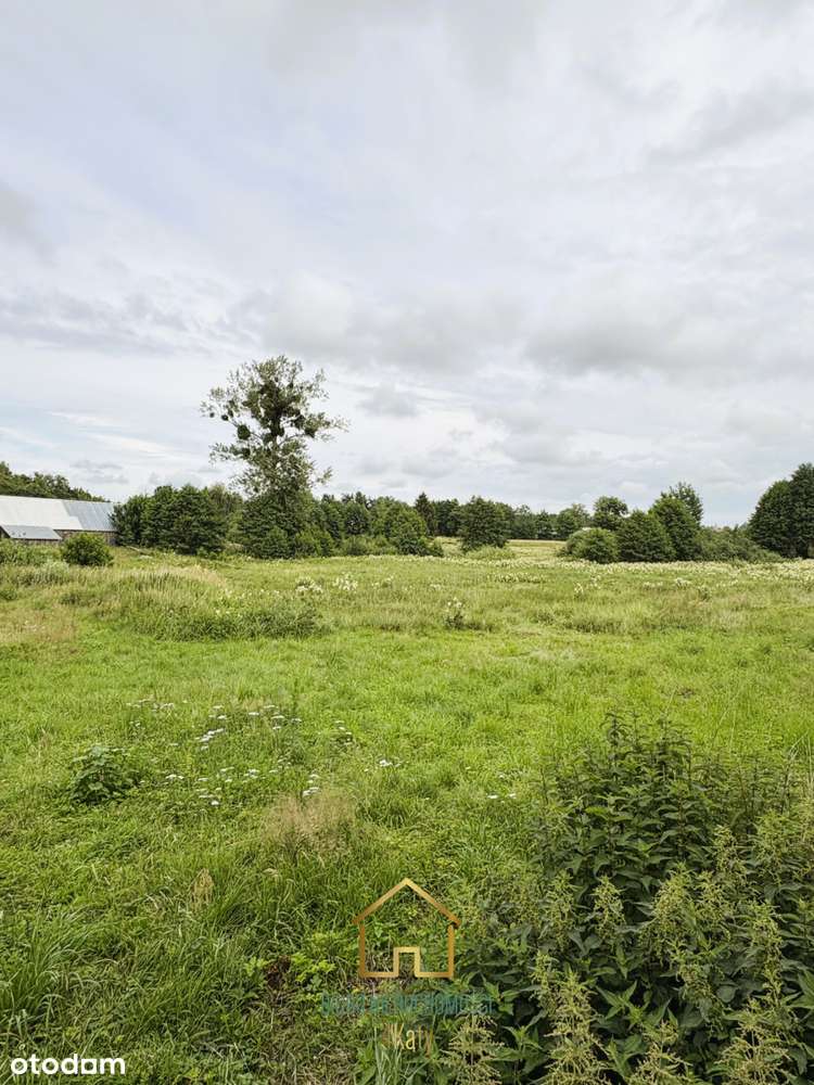 Promocja!! Działka z WZ 4900 m2 Milwino-8