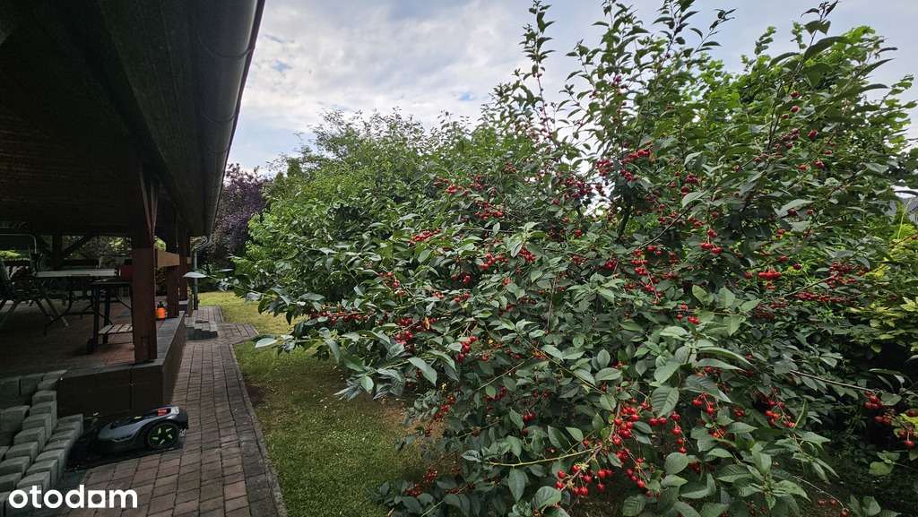 Na sprzedaż  idealny dom dla Rodziny-7