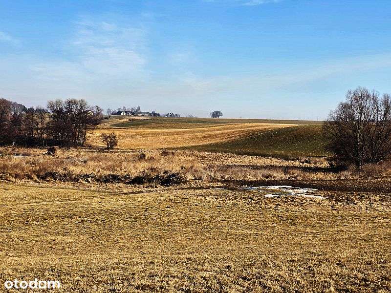 Działka rolna z ogromnym potencjałem - Stara Biała k. Płocka-1