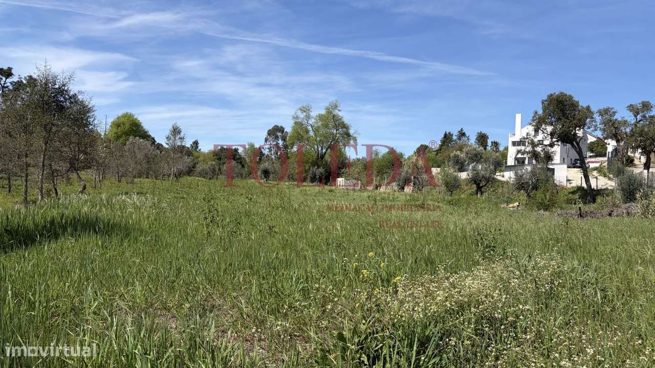 Quintinha em Tomar com 2 casas-55