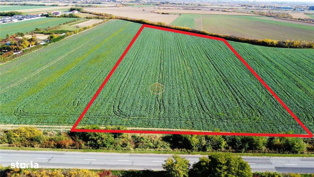 VIDEO | Teren 26.600 mp in Lazuri | 92 m front la strada Principala - Imagine principală: 2/6