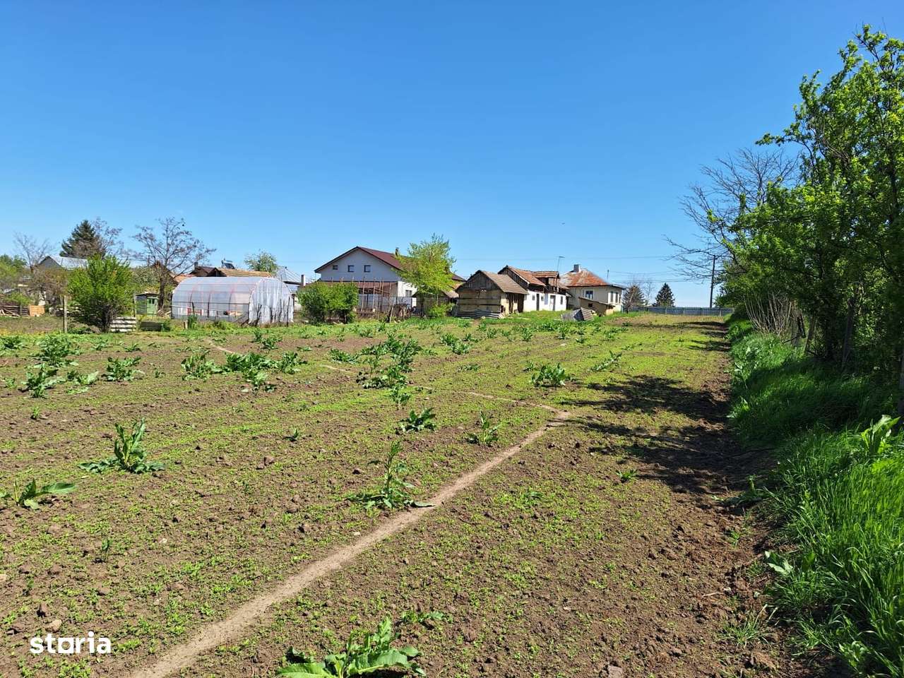 Teren + Casă bătrânească | Comuna Smeeni, jud. Buzău | 2.878 mp - Imagine principală: 4/8