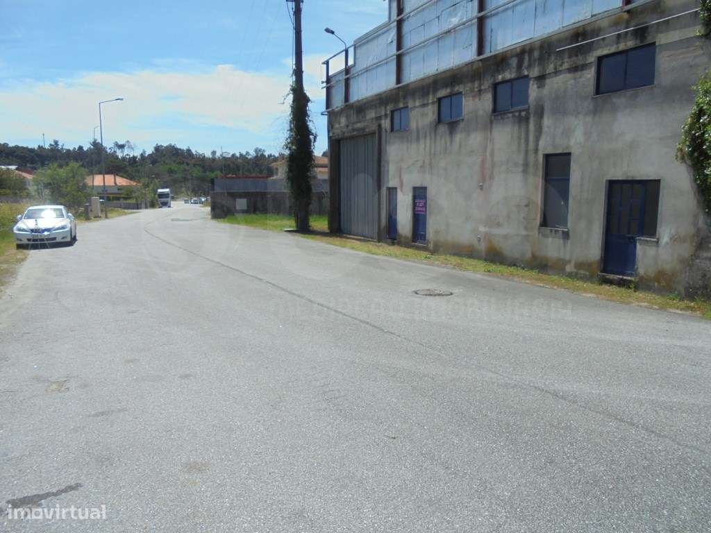 Armazém e Terreno Rústico em Tondela-8
