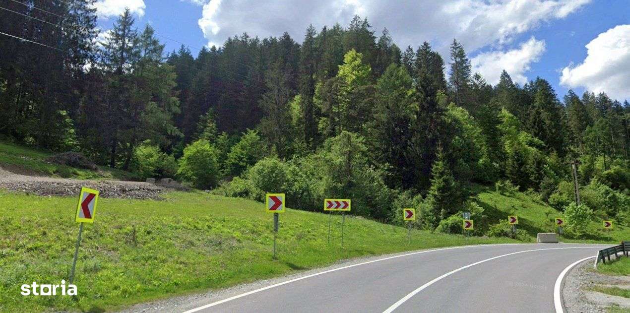 Teren cu padure in Bradet intre DN 1 A si raul Doftana-1