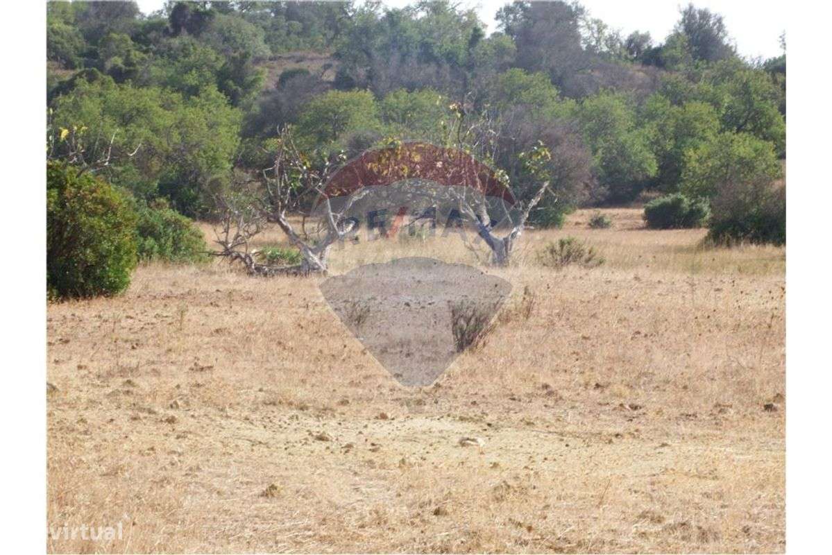 Terreno  para venda - Grande imagem: 2/5