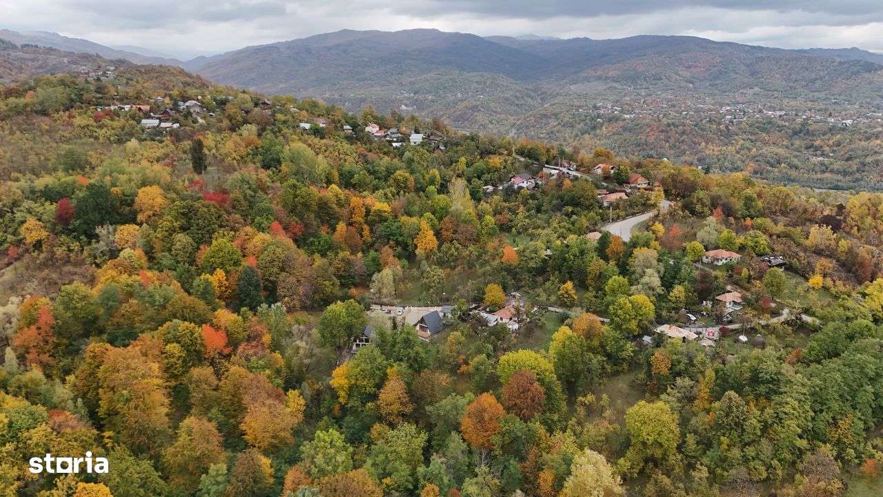 Case de vanzare-case de vacanta, Campina, Plaiul Campinei-6