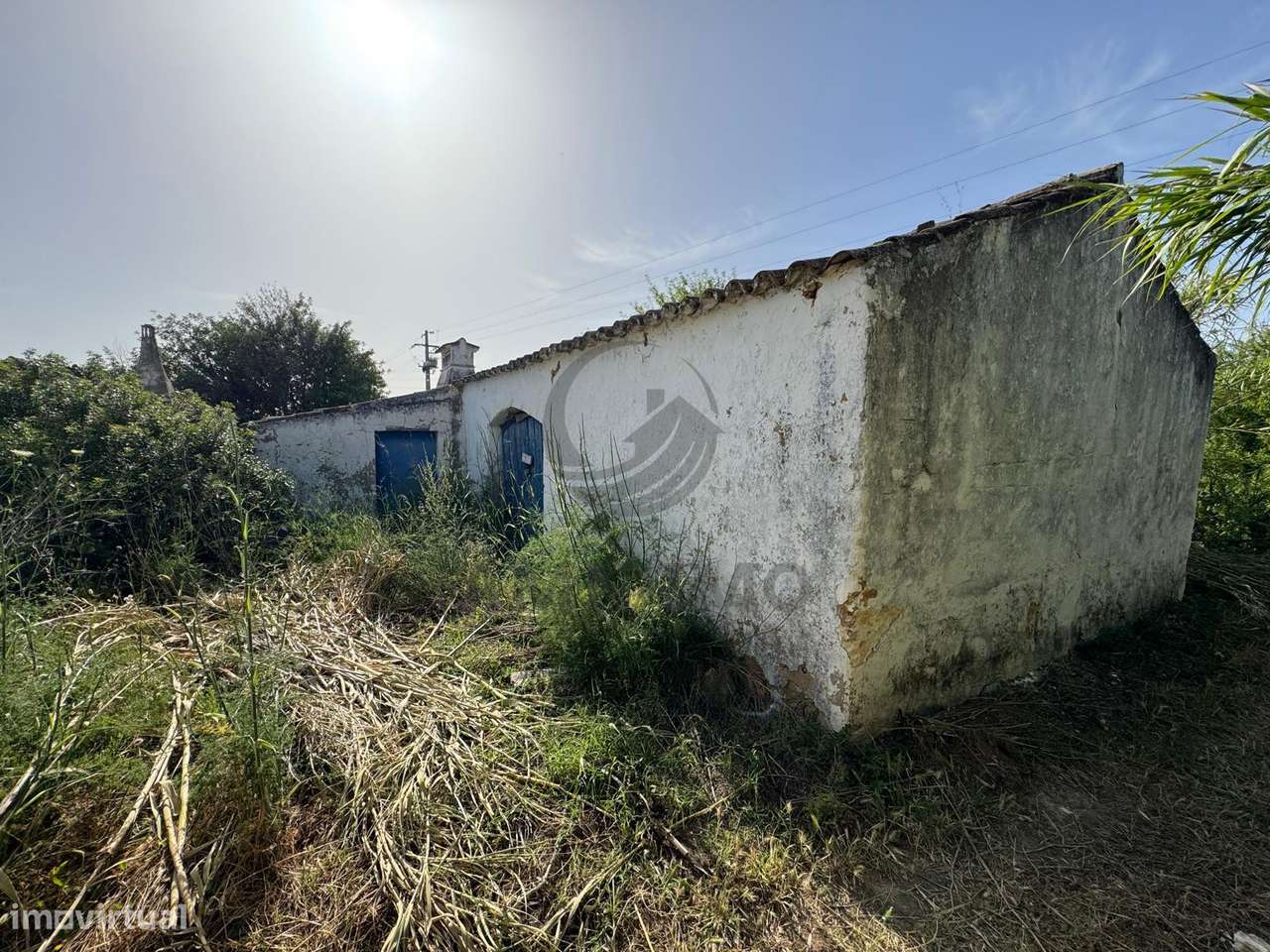 Quinta c/casas, eira e terreno misto – Chaveca, Faro-3
